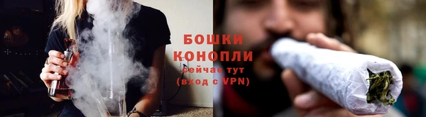 эйфоретик Майский
