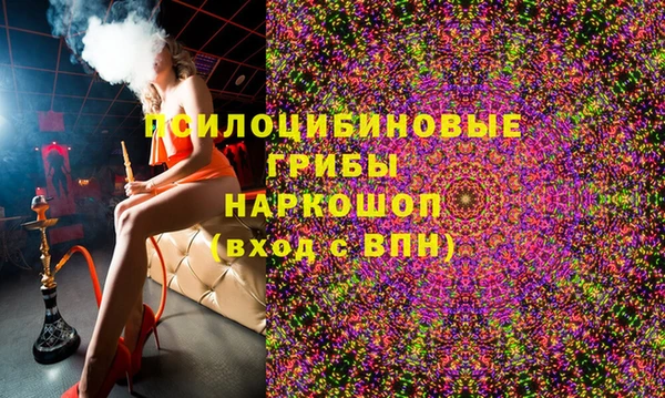 дмт Магас
