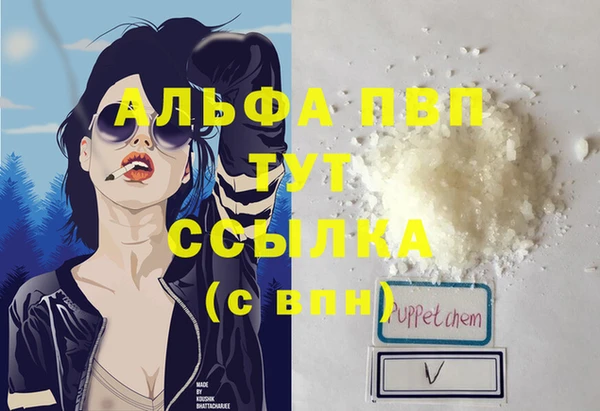 дмт Магас