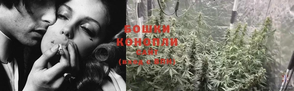 эйфоретик Майский